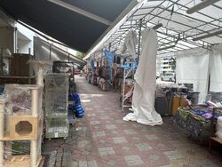 Chong Pang City (D27), Shop House #628752471